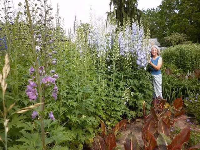 Khu vườn trồng đủ loại rau củ quả khổng lồ của ông bà lão yêu thích làm vườn sau khi nghỉ hưu - Ảnh 8.