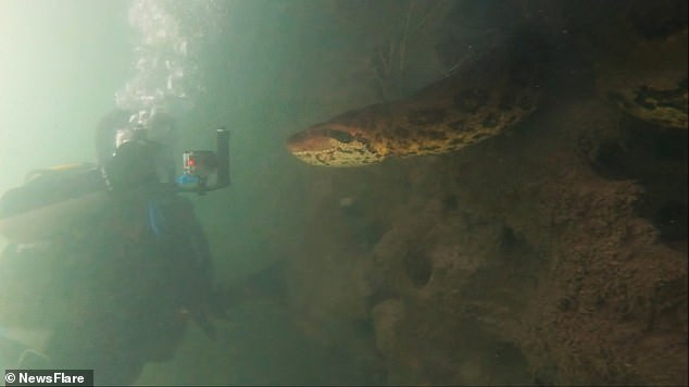 kinh hoang canh tho lan cham mat loai tran lon nhat the gioi duoi nuoc hinh anh 2