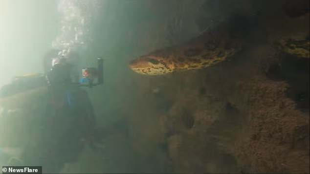 kinh hoang canh tho lan cham mat loai tran lon nhat the gioi duoi nuoc hinh anh 2