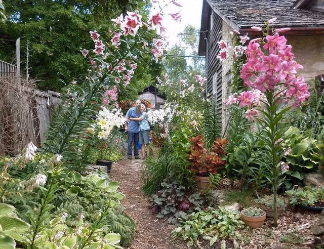 Khu vườn trồng đủ loại rau củ quả khổng lồ của ông bà lão yêu thích làm vườn sau khi nghỉ hưu - Ảnh 4.