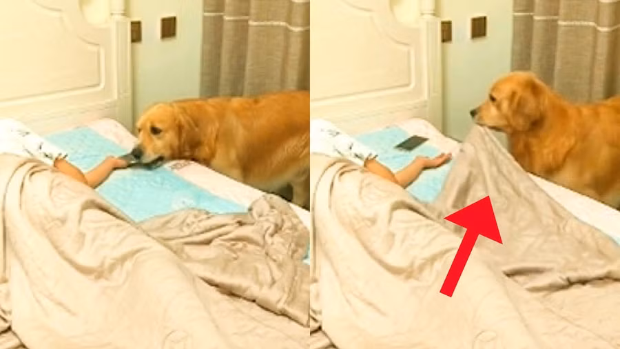 Hành động "gây sốt"của Tianlang