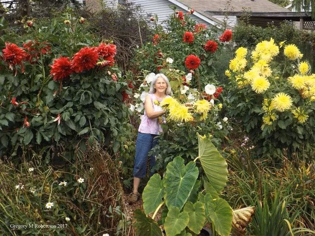 Khu vườn trồng đủ loại rau củ quả khổng lồ của ông bà lão yêu thích làm vườn sau khi nghỉ hưu - Ảnh 10.