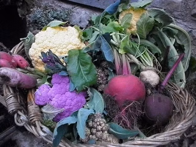 Khu vườn trồng đủ loại rau củ quả khổng lồ của ông bà lão yêu thích làm vườn sau khi nghỉ hưu - Ảnh 18.