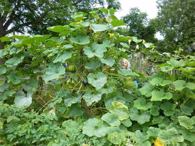 Bà Gred bên khu vườn xanh tươi của mình.