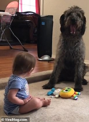 Cô bé bất ngờ buộc phải ngồi xuống. Cô bé bất ngờ buộc phải ngồi xuống.