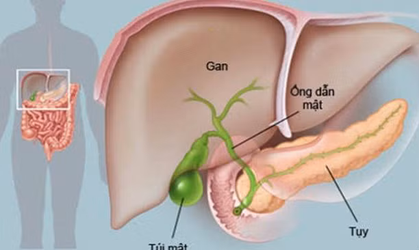 Đắng miệng là dấu hiệu của nhiều bệnh.