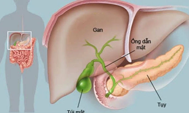 Đắng miệng là dấu hiệu của nhiều bệnh.