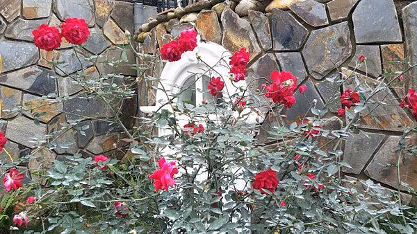 Cận cảnh cơ ngơi hoành tráng của nghệ sĩ hài Xuân Bắc-9