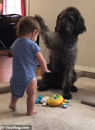 Khloe dùng chân ấn đầu Joslyn. Khloe dùng chân ấn đầu Joslyn.