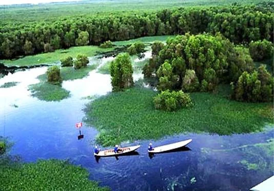 Bảo tồn, sử dụng bền vững các vùng đất ngập nước