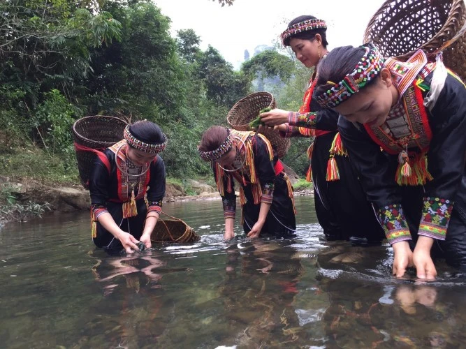 Vào mùa rêu, các thiếu nữ dân tộc Dao ở miền “đất ngọc” lại rủ nhau ra suối tìm những khóm rêu xanh non.