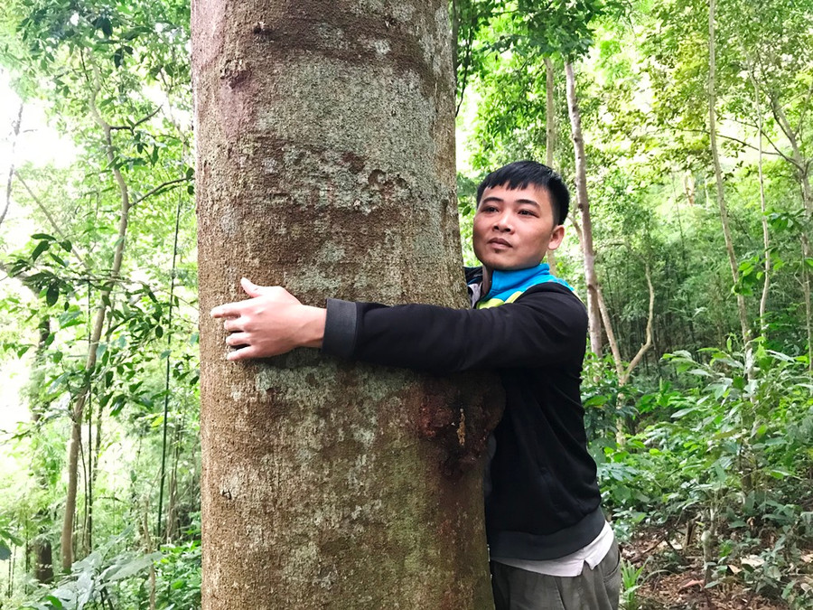 Anh Triệu Tiến Lộc bên những cây lim hàng chục năm tuổi của gia đình ở thôn Bằng Anh, xã miền núi Tân Dân, TP Hạ Long. Ảnh: Minh Cương Anh Triệu Tiến Lộc bên những cây lim hàng chục năm tuổi của gia đình ở thôn Bằng Anh, xã miền núi Tân Dân, TP Hạ Long. Ảnh: Minh Cương
