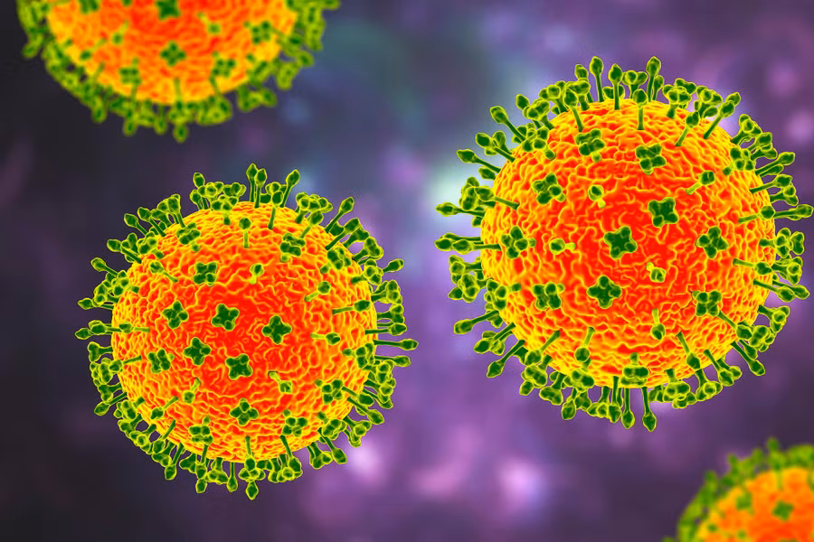 Virus Langya và SARS-CoV-2 có sự tương đồng. Đó là cả hai đều có một chuỗi di truyền đơn RNA. 