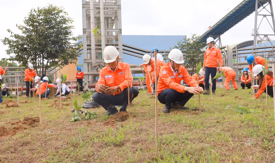 CBNV Công ty Nhiệt điện Nghi Sơn trồng 600 cây xanh.