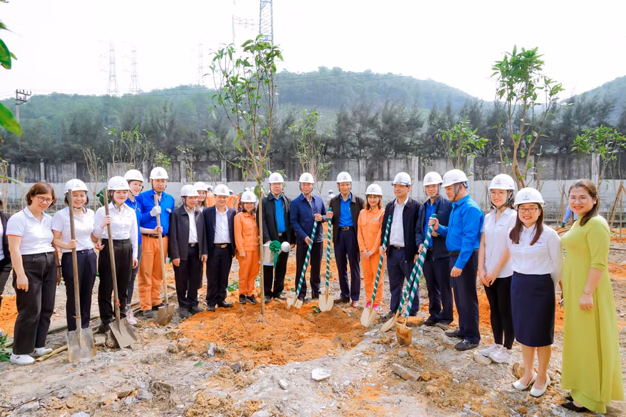 EVNGENCO1 xem việc trồng cây bảo vệ môi trường không thể tách rời với hoạt động sản xuất kinh doanh.