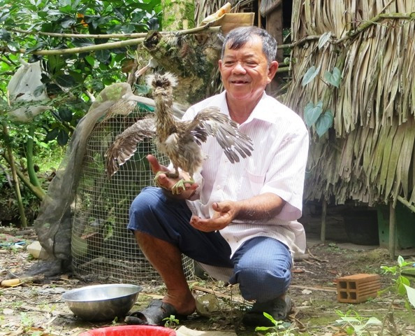 Con vạc bị thương được ông Hai đem về chăm sóc.