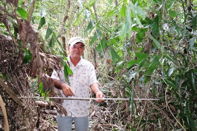 Ông Hai Chìa dùng cách riêng để nhận biết khi có người đến săn bắn chim, cò, vạc.