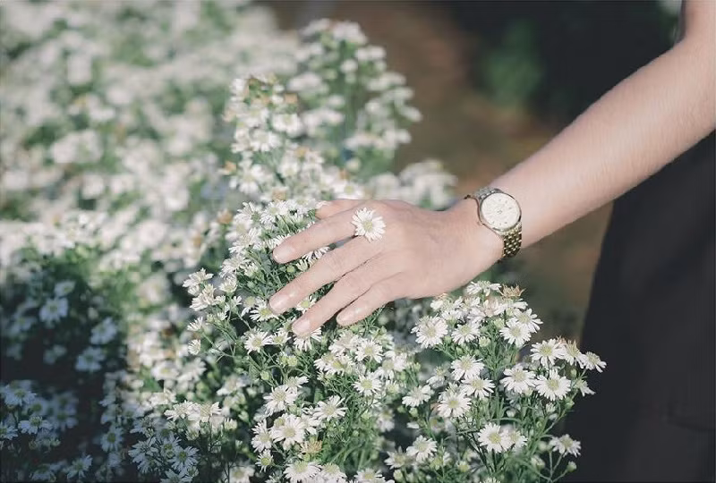 Ảnh minh họa/INT.