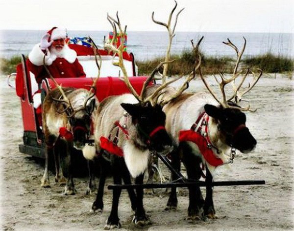 Khám phá khoa học thú vị về ông già Noel ảnh 8