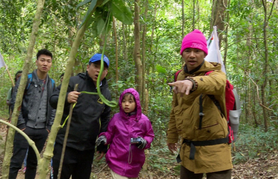 Con vật xuất hiện nhiều nhất trong rừng là rắn lục xanh. Ban đầu, bốn cặp bố con đều hốt hoảng, nhưng khi được giải thích loài rắn này rất hiền lành, họ thích chú chụp hình. Con vật xuất hiện nhiều nhất trong rừng là rắn lục xanh. Ban đầu, bốn cặp bố con đều hốt hoảng, nhưng khi được giải thích loài rắn này rất hiền lành, họ thích chú chụp hình.