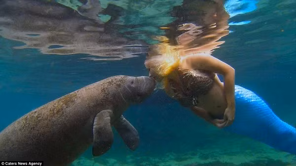 Khám phá cuộc sống dưới đáy biển của nàng tiên cá đời thực