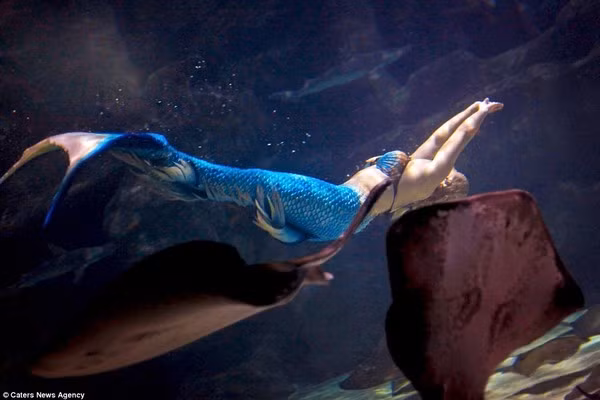 Khám phá cuộc sống dưới đáy biển của nàng tiên cá đời thực