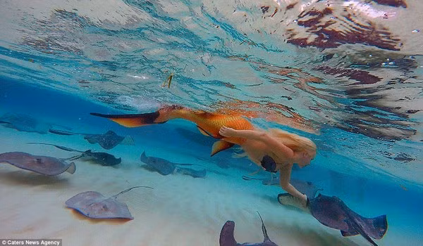 Khám phá cuộc sống dưới đáy biển của nàng tiên cá đời thực