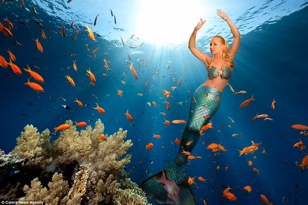 Khám phá cuộc sống dưới đáy biển của nàng tiên cá đời thực