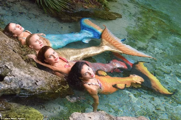 Khám phá cuộc sống dưới đáy biển của nàng tiên cá đời thực