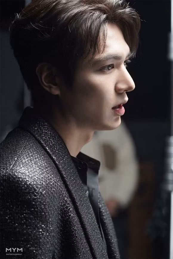 lee min ho, góc nghiêng, sao hàn