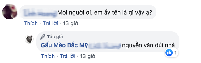 Cư dân mạng đắm đuối vì chú chó hót hòn họt trên Facebook gần 1 tuần qua, lập fanpage 4 ngày thu về 32 ngàn lượt thích, ai nhìn cũng muốn nuôi! - Ảnh 3. Cư dân mạng đắm đuối vì chú chó hót hòn họt trên Facebook gần 1 tuần qua, lập fanpage 4 ngày thu về 32 ngàn lượt thích, ai nhìn cũng muốn nuôi! - Ảnh 3.