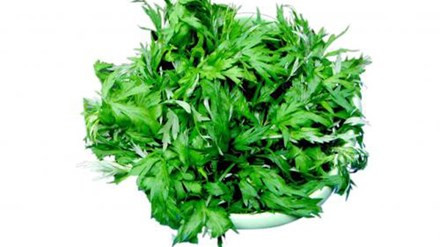 Mẹo hay sử dụng sử dụng ngải cứu để làm đẹp da ảnh 1 Mẹo hay sử dụng sử dụng ngải cứu để làm đẹp da ảnh 1