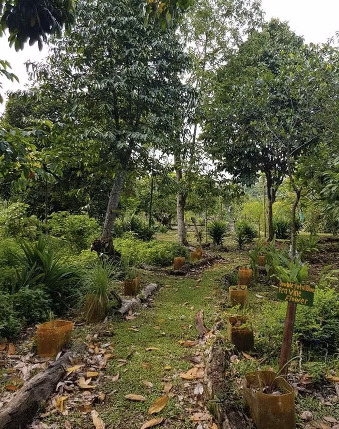 10 thành phố châu Á nên ghé thăm trước khi khách du lịch kéo nhau tới ầm ầm