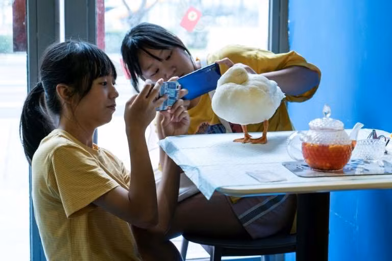 Những chú vịt này sẽ khiến khách hàng hài lòng hơn.