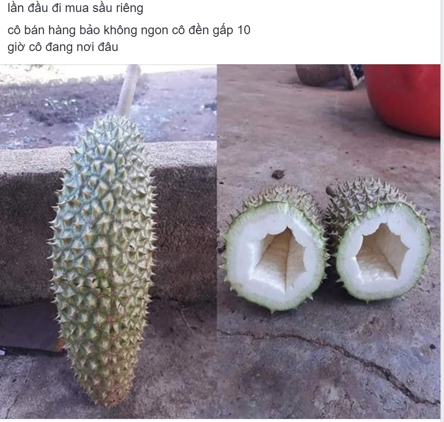 (Ảnh chụp màn hình).