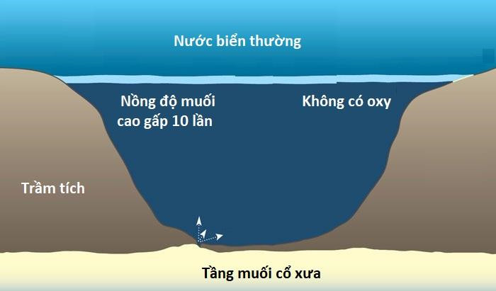 Ho nuoc doc duoi day bien giet chet moi sinh vat boi vao hinh anh 3 