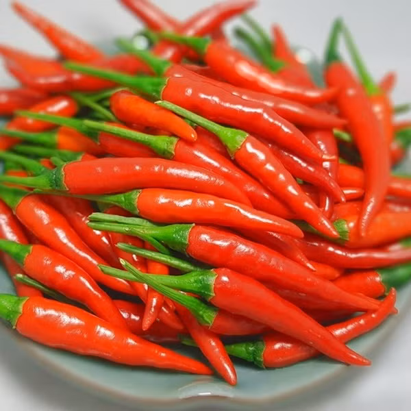 Không thể ngờ thần dược chống ung thư bán đầy chợ Việt, giá rẻ như bèo-5