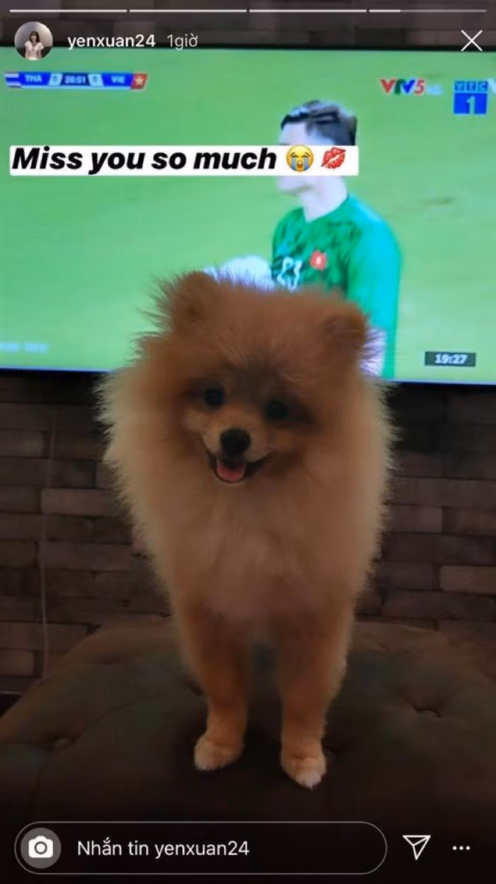 Anh chàng Lâm Tây được che chắn khéo léo trên trang cá nhân của Yến Xuân. Dân mạng chỉ cần “liếc qua” thôi cũng có thể nhận ra nhân vật trên màn hình tivi,&nbsp;phía sau chú chó cưng của Yến Xuân.