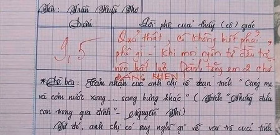 Bài văn xuất sắc đẹp 9,5 điểm.