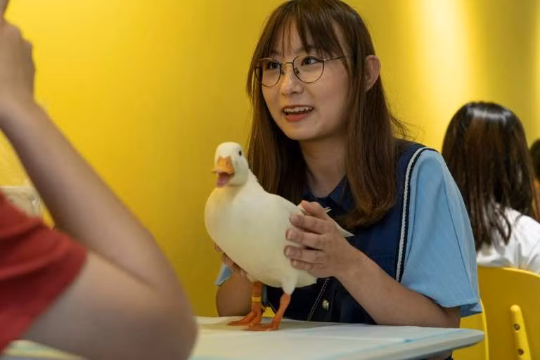 Các vị khách đều vô cùng thích thú trước quán cà phê độc đáo.