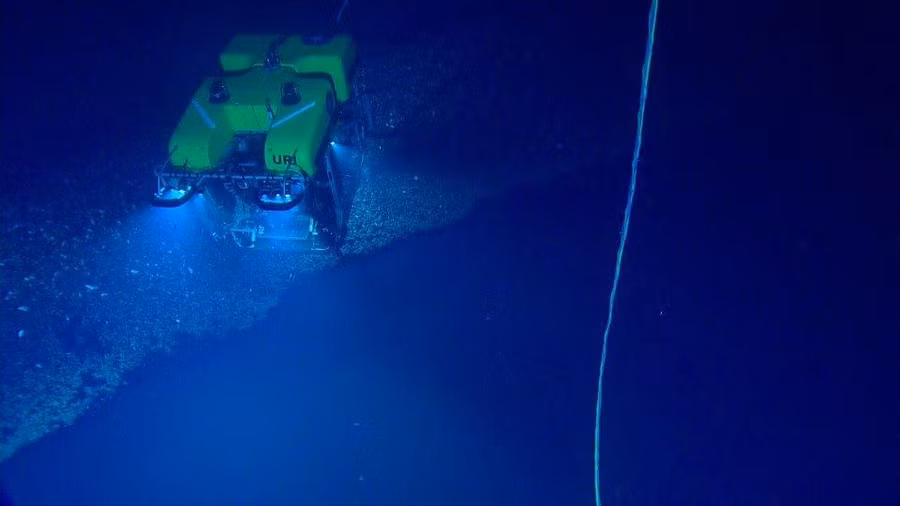 Ho nuoc doc duoi day bien giet chet moi sinh vat boi vao hinh anh 5 