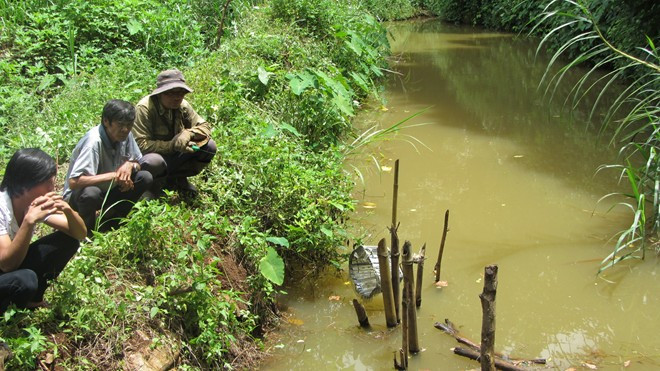 Đi bắt cá, một học sinh tiểu học đuối nước