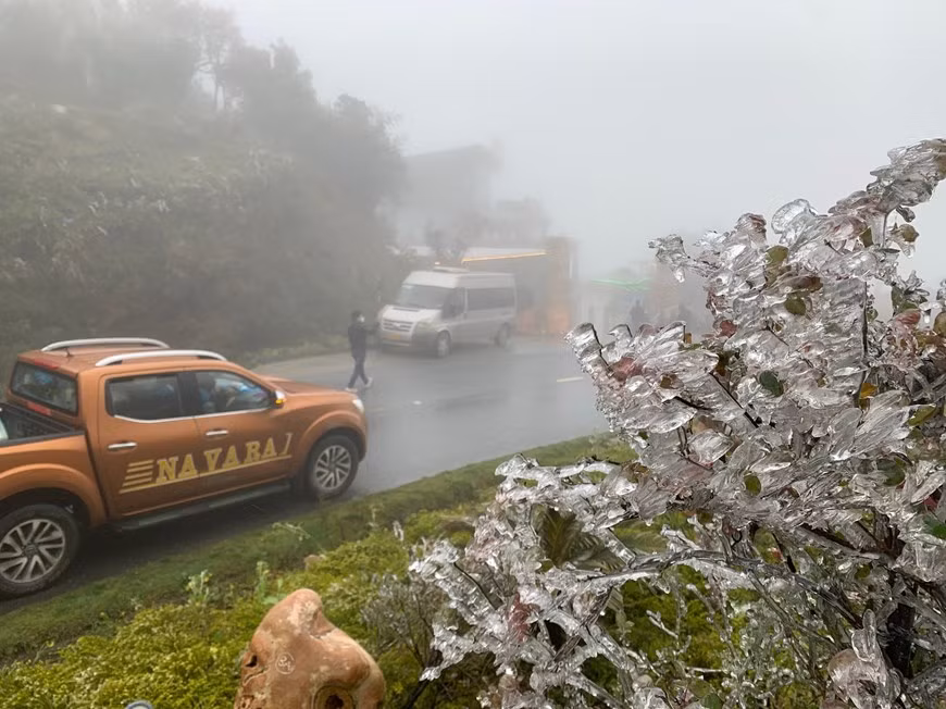 Khi thông tin Sa Pa có thể có mưa tuyết, lượng du khách đổ lên rất đông. Ảnh: Vietnamplus.