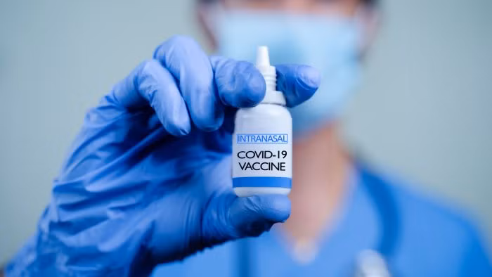 Ảnh: Istoke Photo.