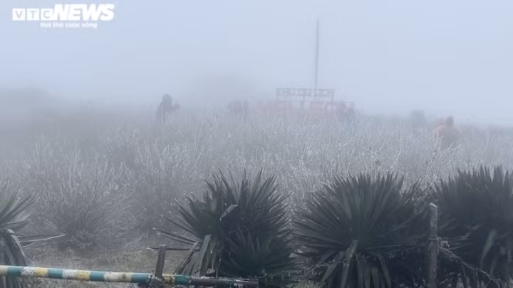 Không ngại thời tiết lạnh giá, nhiệt độ -2 độ C, từ sáng sớm nhiều du khách từ các nơi đã kéo lên đỉnh Mẫu Sơn (Lạng Sơn) để săn băng, tuyết. Nguồn: VTC.