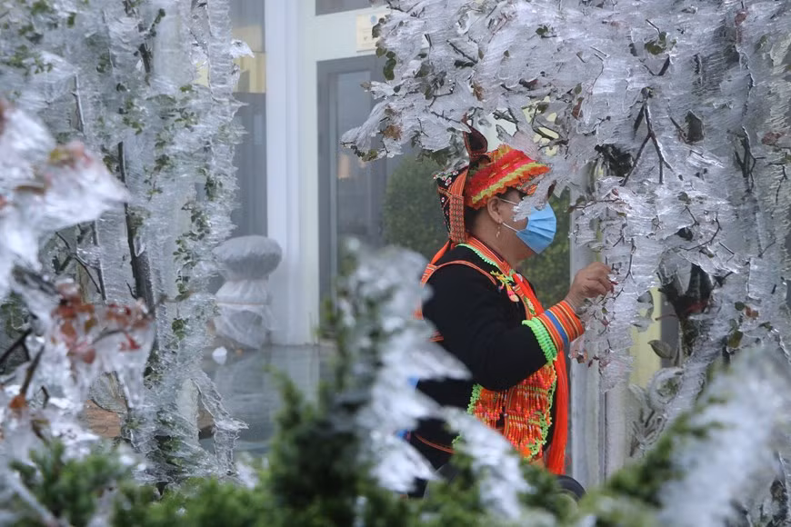 Theo cơ quan khí tượng, tình trạng băng giá và mưa tuyết còn có thể xuất hiện ở khu vực Sa Pa trong hôm nay và ngày mai. Ảnh: Vietnamplus.