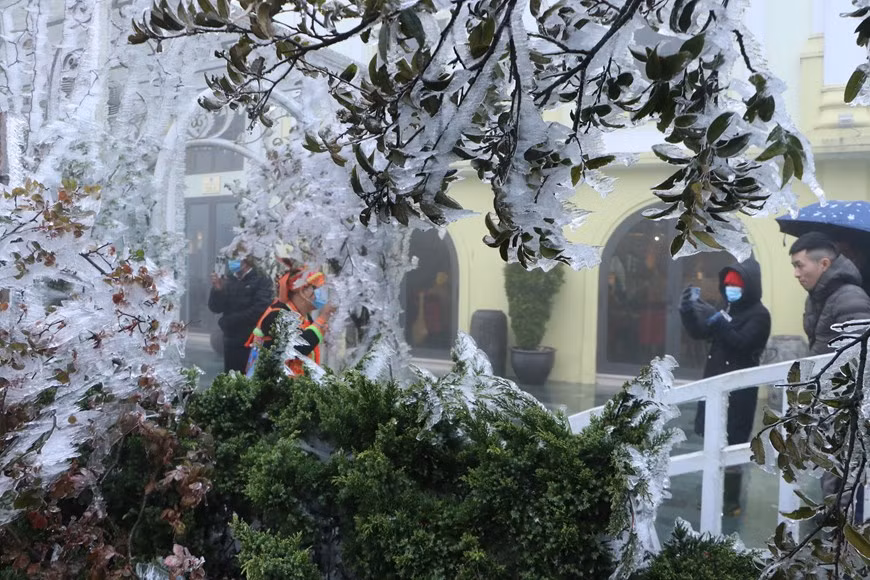 Việc xuất hiện băng giá tại đỉnh đèo Ô Quý Hồ nơi giáp xã Sơn Bình, huyện Tam Đường (Lai Châu) với thị xã Sa Pa (Lào Cai) đã thu hút đông đảo khách du lịch đến check in chụp ảnh. Ảnh: Vietnamplus.