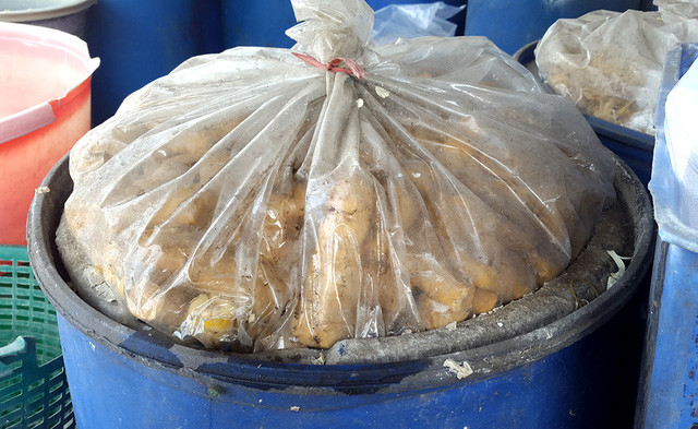 Nguy cơ thủng ruột, phá nát gan vì ăn măng tẩm hóa chất ảnh 3 Măng được ngâm ủ trong hóa chất công nghiệp để tạo màu, tẩy trắng