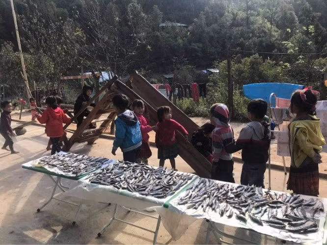 Vừa dạy học, vừa tranh thủ phơi cá khô do các đoàn gửi lên để dự trữ cho trẻ ăn dần. Ảnh: Nhân vật cung cấp
