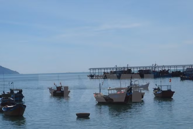 Quảng Trị kêu gọi hơn 2.280 tàu thuyền vào bờ tránh bão